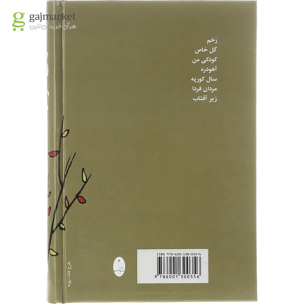 تصویر از کتاب داستانهای آهودره