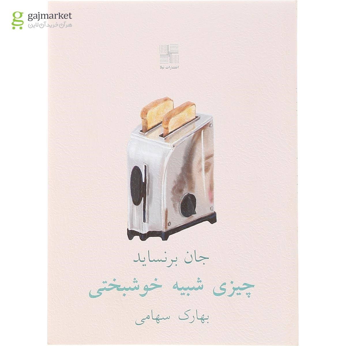 تصویر از کتاب چیزی شبیه خوشبختی