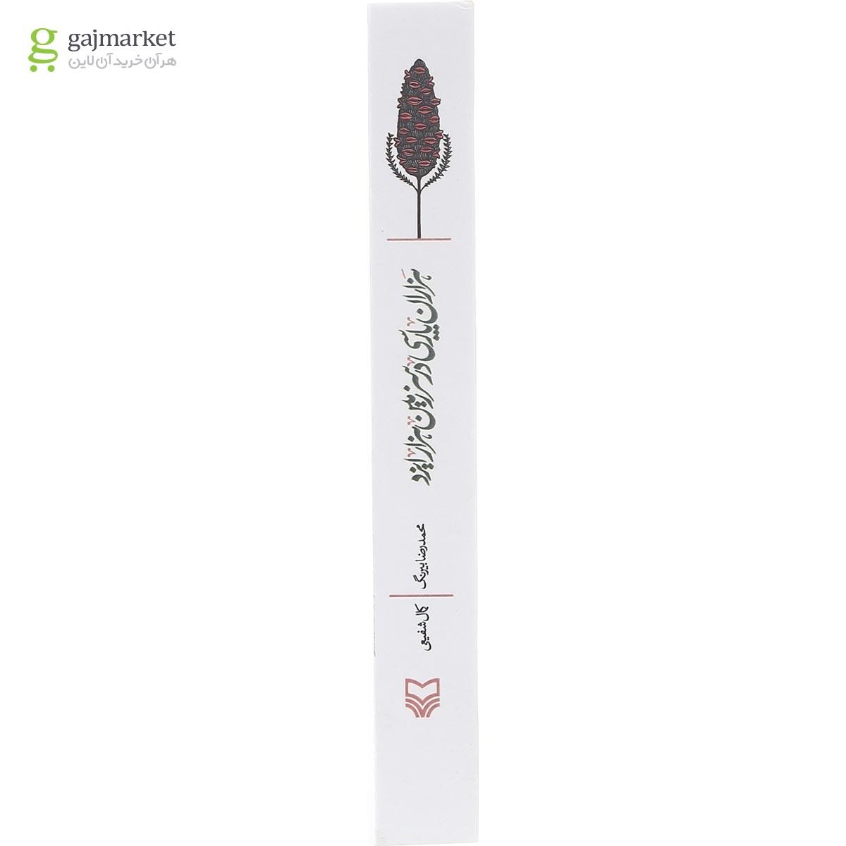 تصویر از کتاب هزاران پارسی در سرزمین هزار ایزد