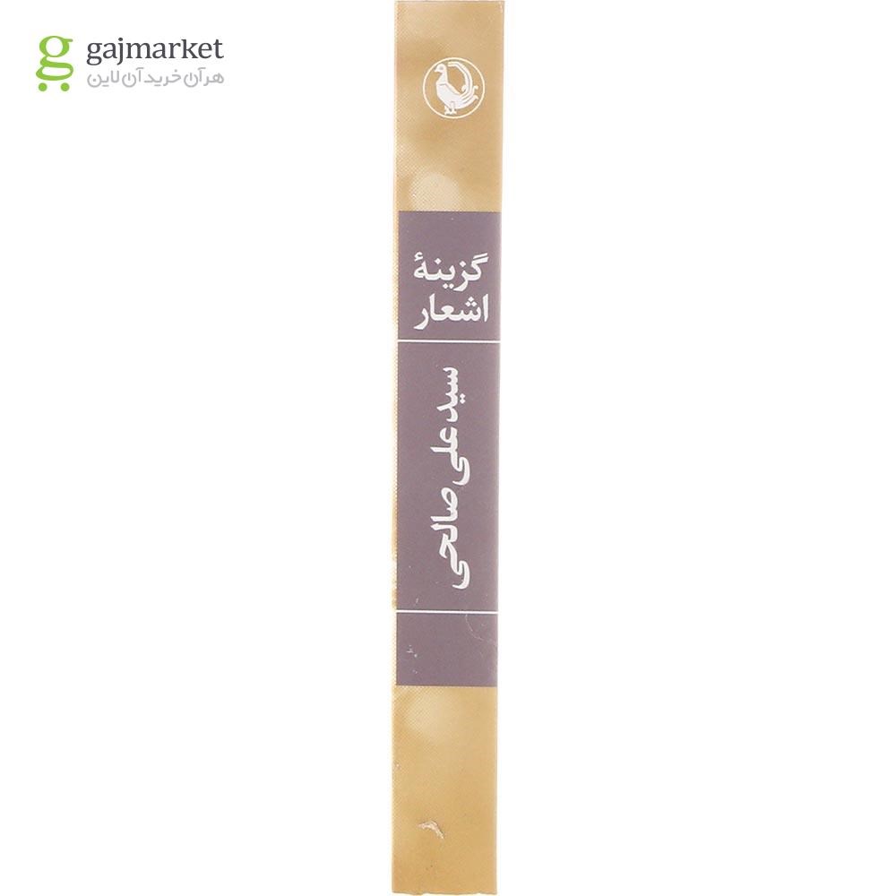 تصویر از کتاب گزینه اشعار سید علی صالحی