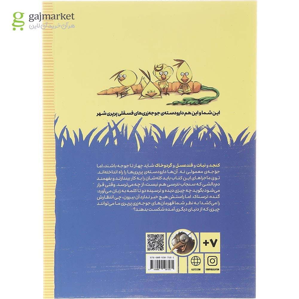 تصویر از کتاب ماجرای دم بالشی و سفینه فضایی مجموعه دارودسته پرپری ها