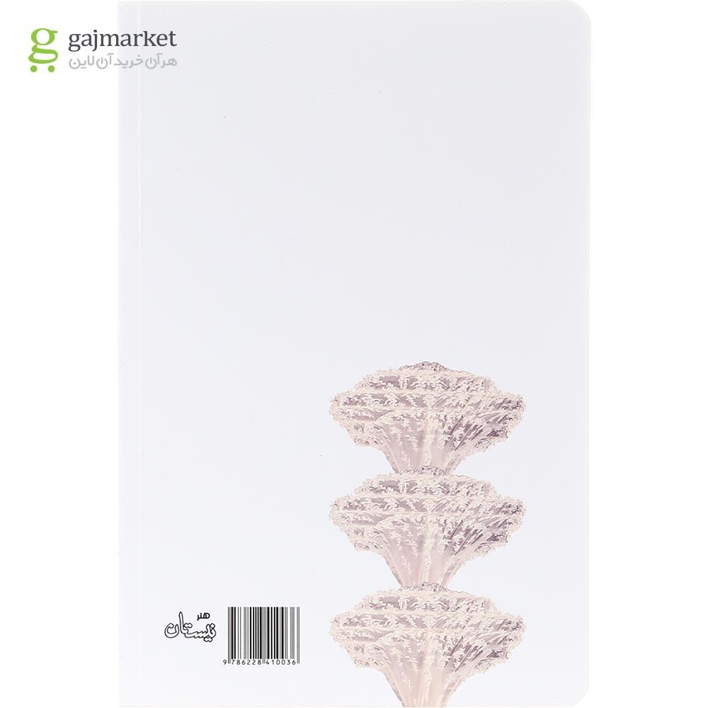 تصویر از کتاب بیوه کوچک پایتخت