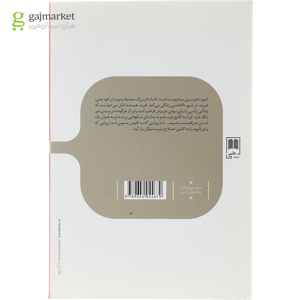 تصویر از کتاب پسران نیکل