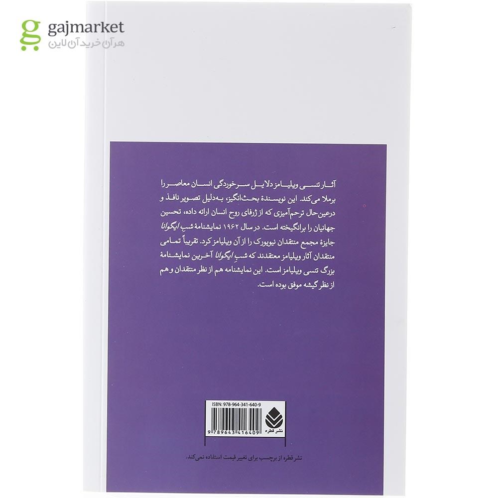 تصویر از کتاب شب ایگوانا
