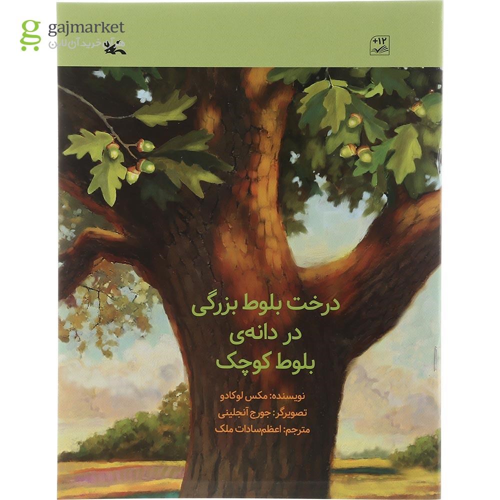 تصویر از کتاب درخت بلوط بزرگی در دانه بلوط کوچک