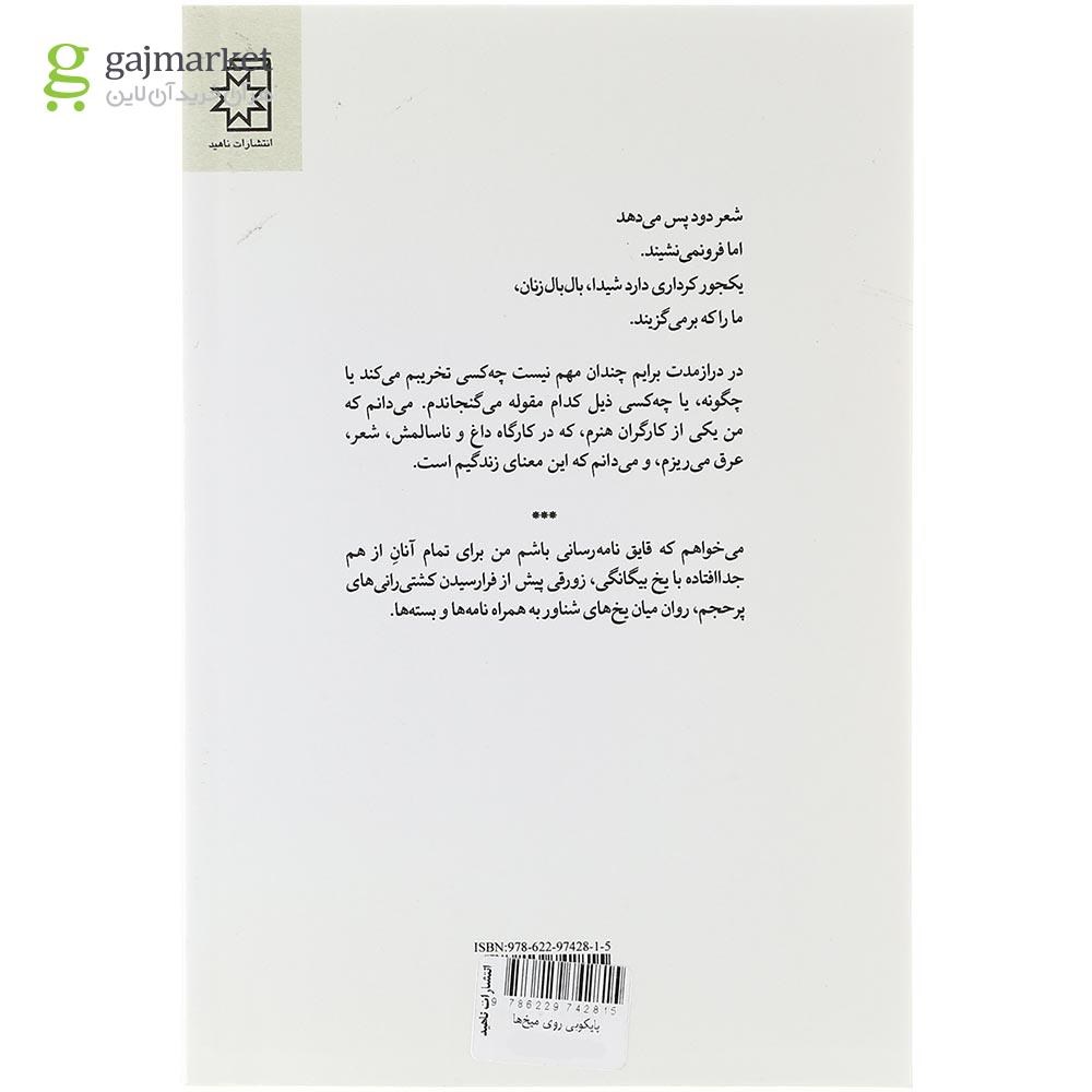 تصویر از  کتاب پایکوبی روی میخ ها 