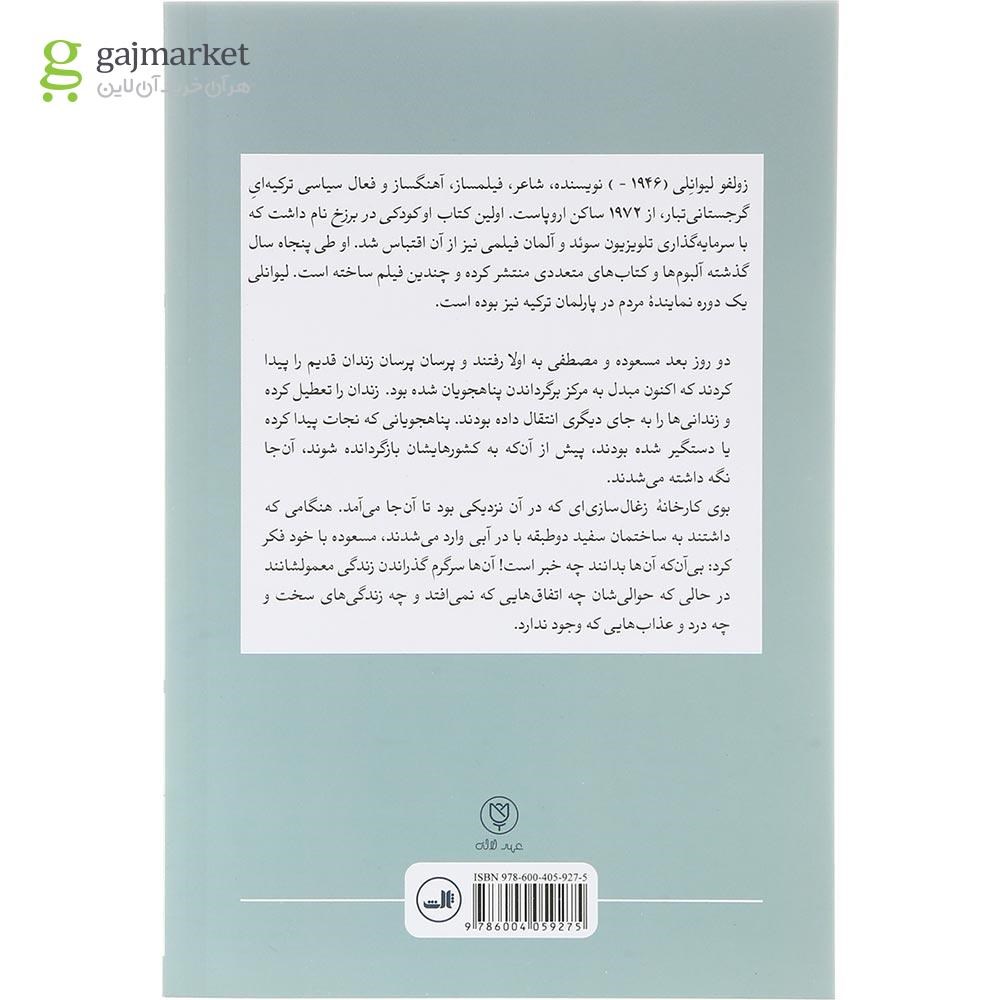 تصویر از کتاب ماهیگیر و پسرش