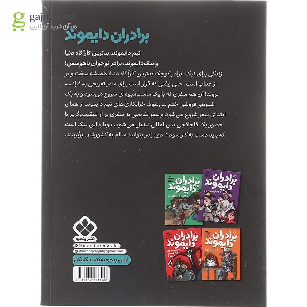 تصویر از کتاب ماجراجویی در فرانسه مجموعه برادران دایموند