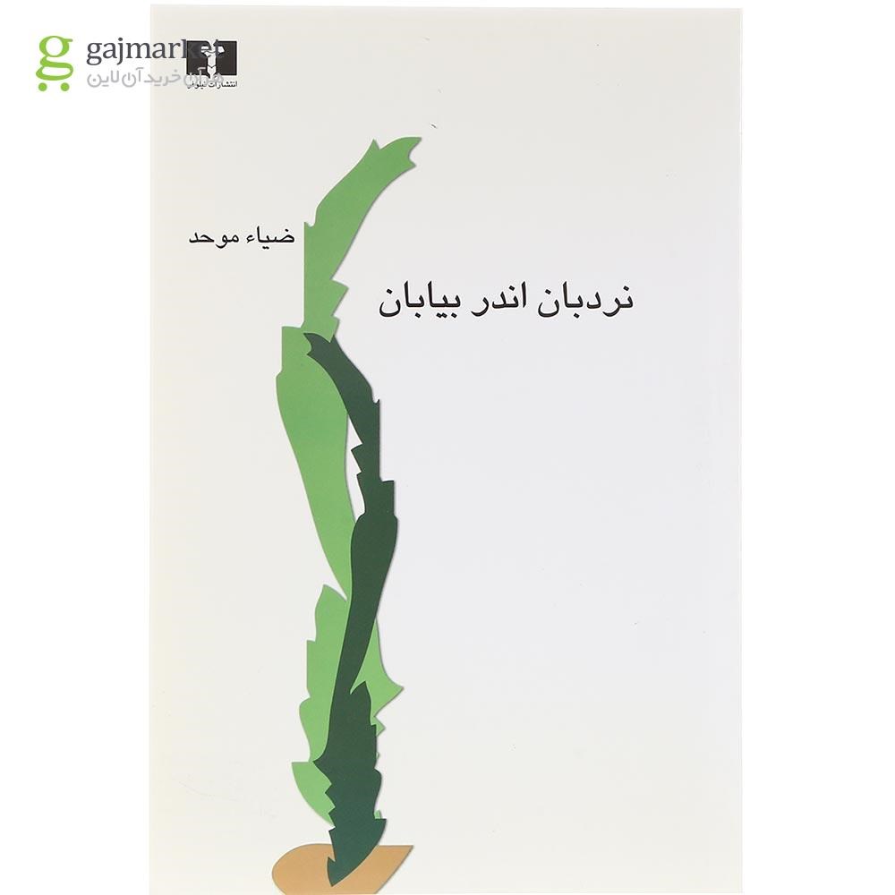 تصویر از کتاب نردبان اندر بیابان 