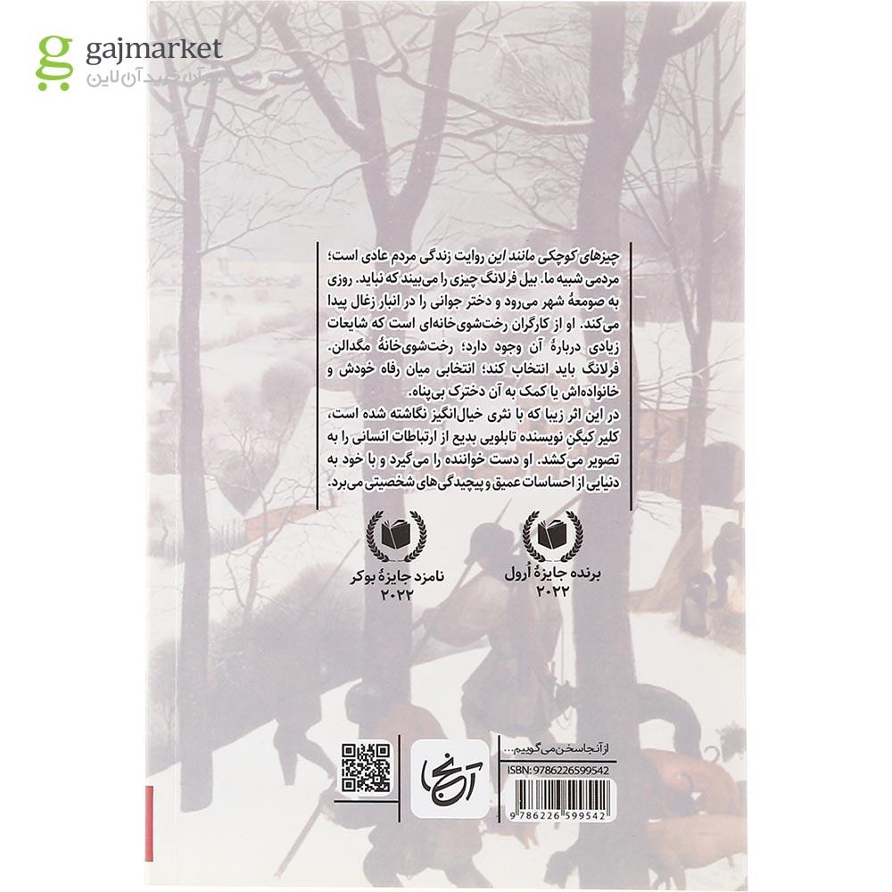 تصویر از کتاب چیزهایی کوچکی مانند این 