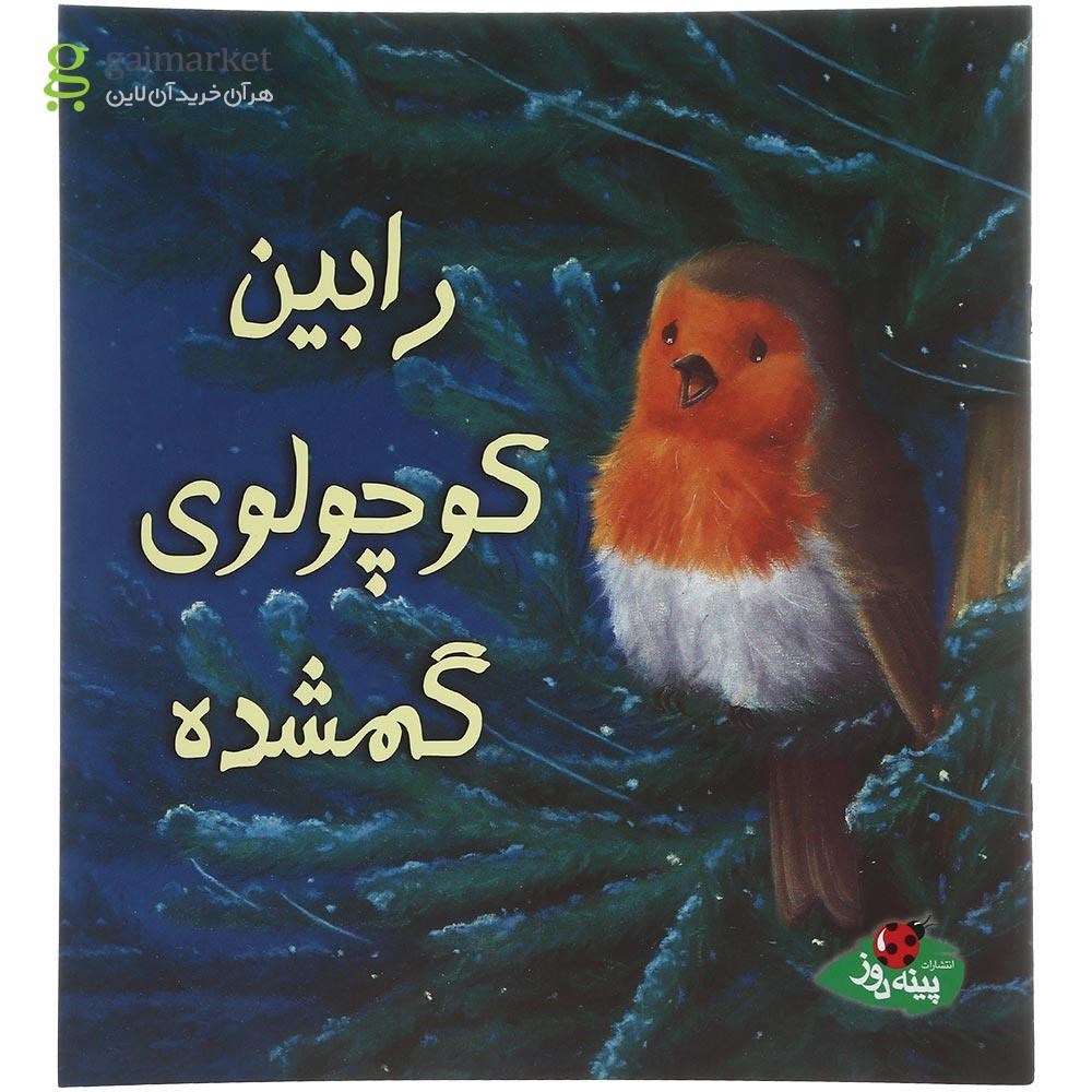 تصویر از کتاب رابین کوچولوی گمشده