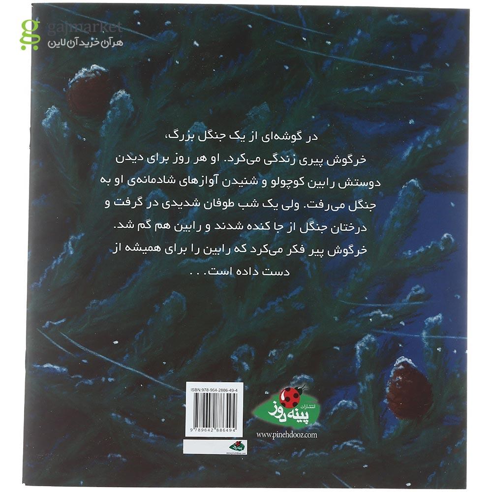 تصویر از کتاب رابین کوچولوی گمشده