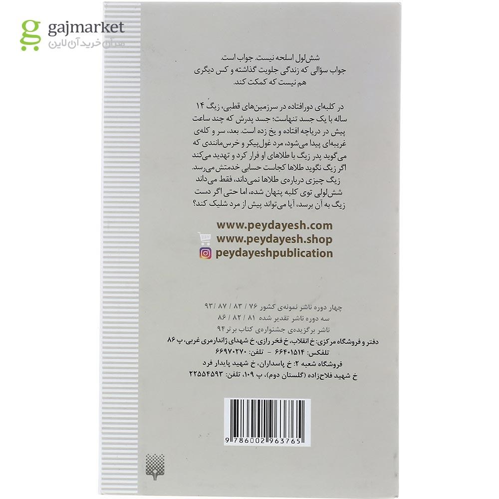 تصویر از کتاب شش لول مجموعه رمان هایی که باید خواند