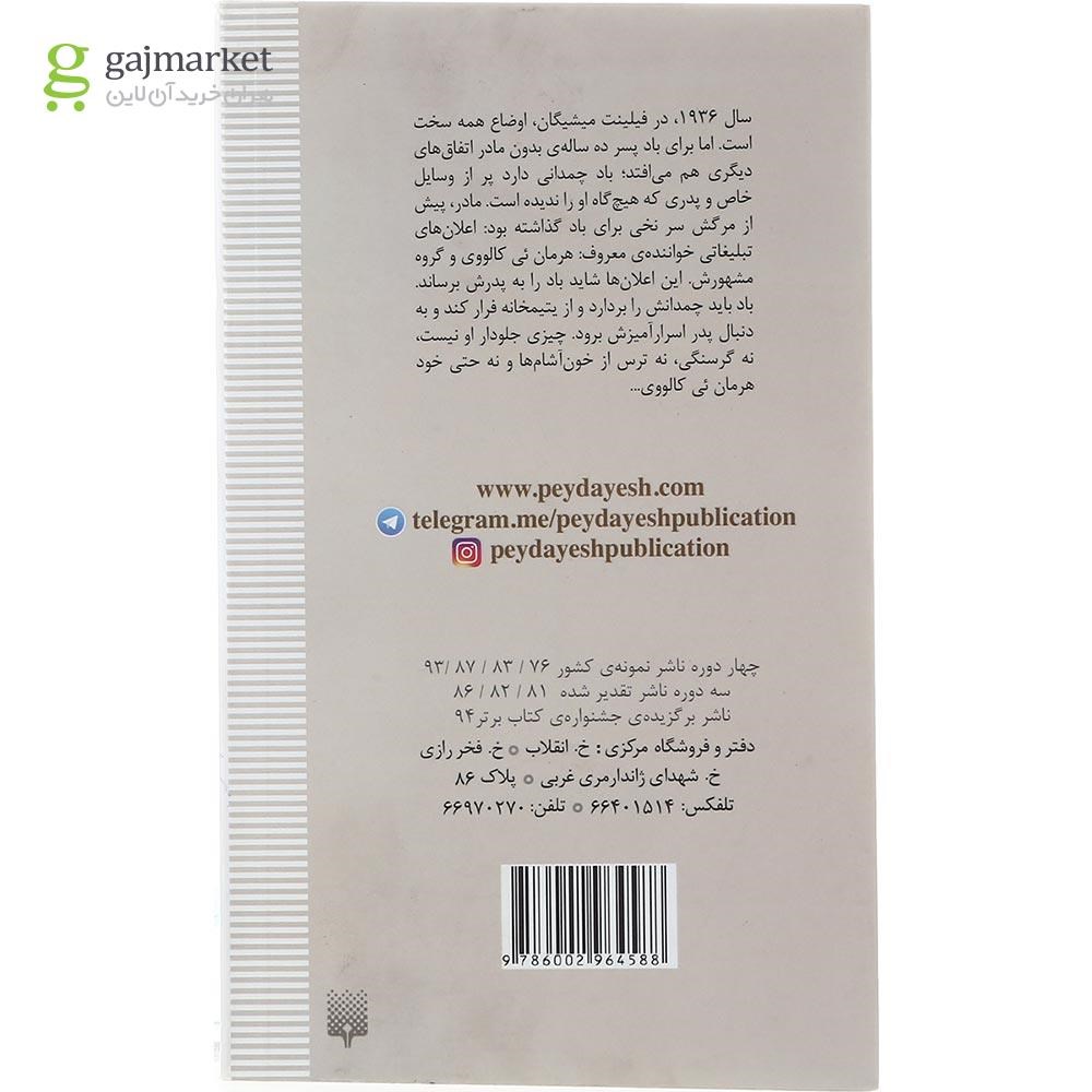تصویر از کتاب باد نه بادی