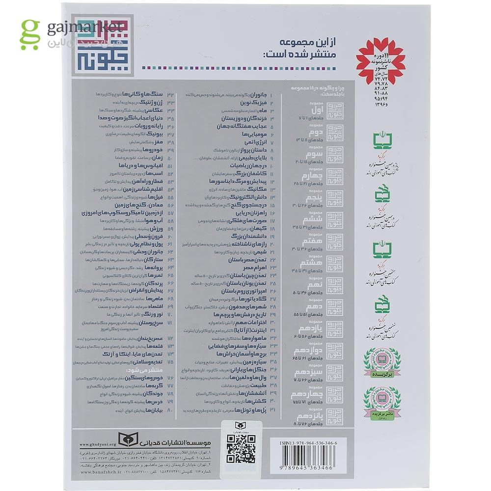 تصویر از کتاب وال ها و دلفین ها مجموعه چرا و چگونه جلد 37