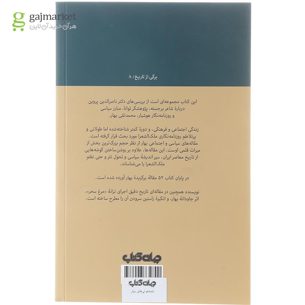 تصویر از کتاب دلمشغولی های بهار