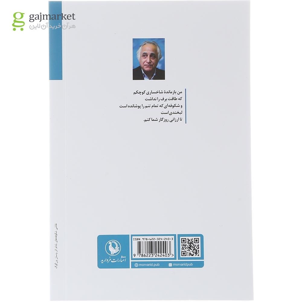 تصویر از کتاب درون شدم از دری که نیست