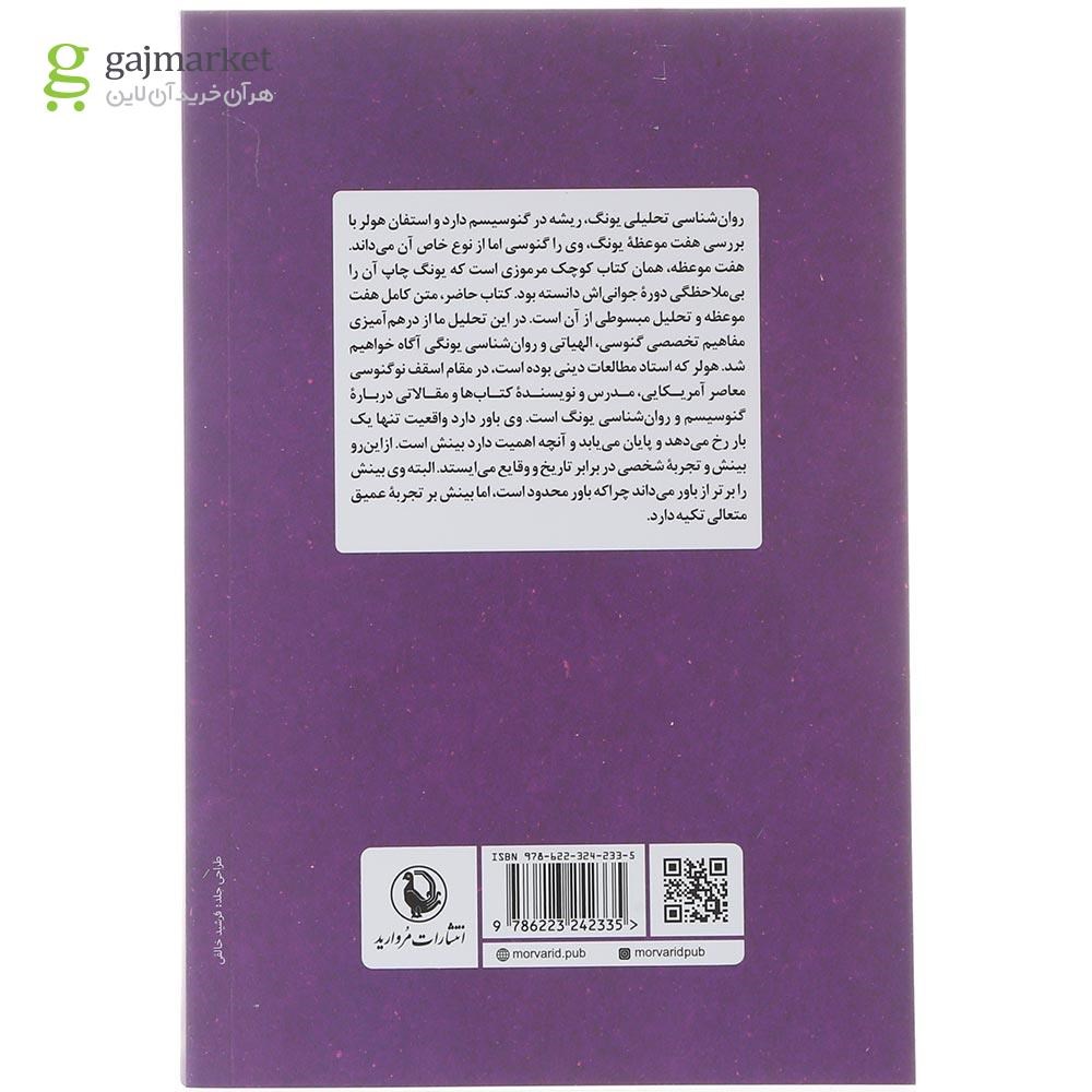 تصویر از کتاب کارل گوستاو یونگ و ادبیات گنوسی