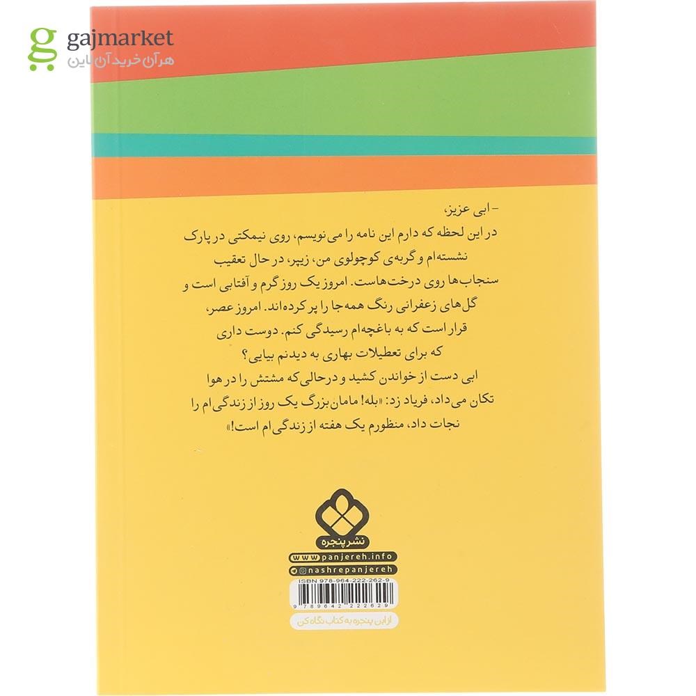 تصویر از کتاب ابی آشتی می کند مجموعه ماجراهای ابی هاینز جلد 2