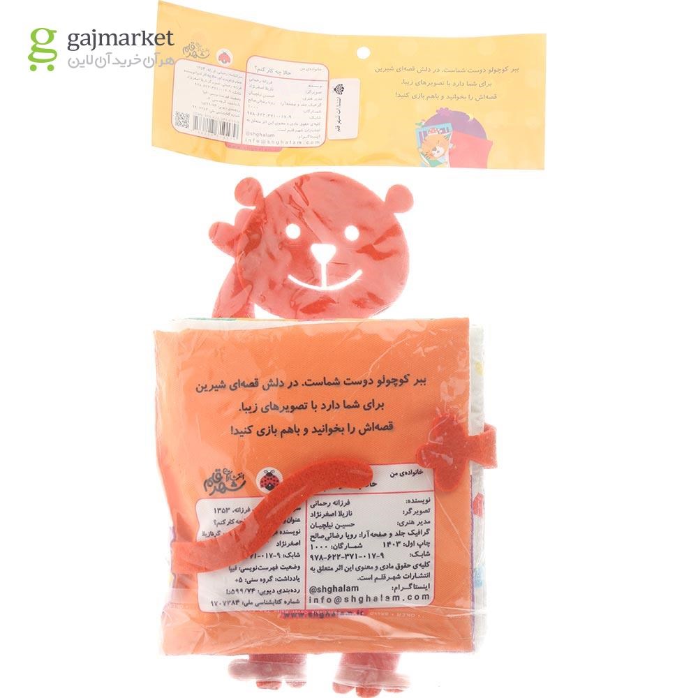 تصویر از کتاب بالشتی حالا چه کار کنم مجموعه خانواده من