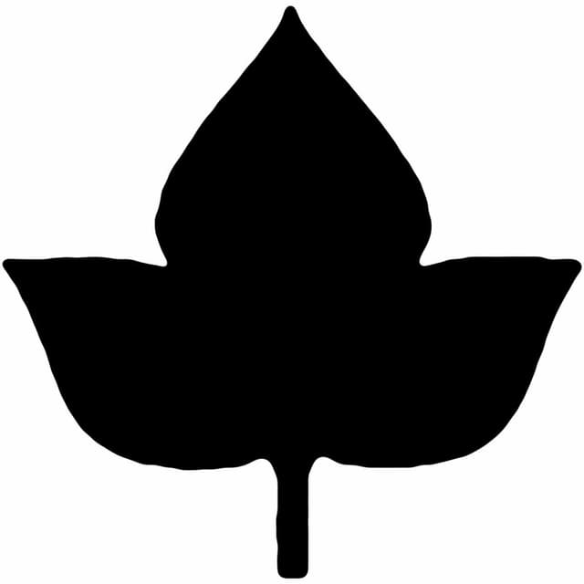 https://minioapi-prd.gajmarket.com/brand/1597_599611.jpeg