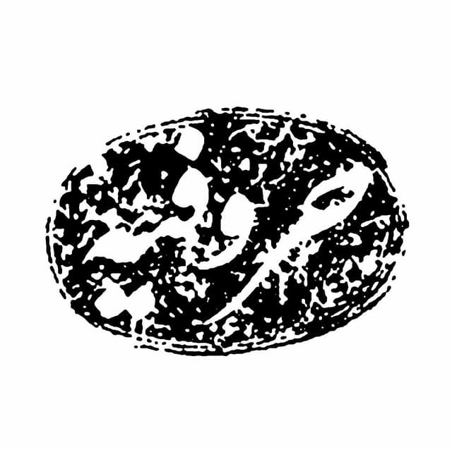 https://minioapi-prd.gajmarket.com/brand/2052_599358.jpeg