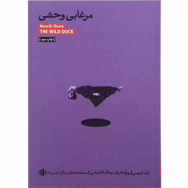 کتاب مرغابی وحشی product image