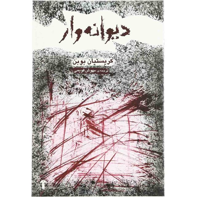 کتاب دیوانه وار product image
