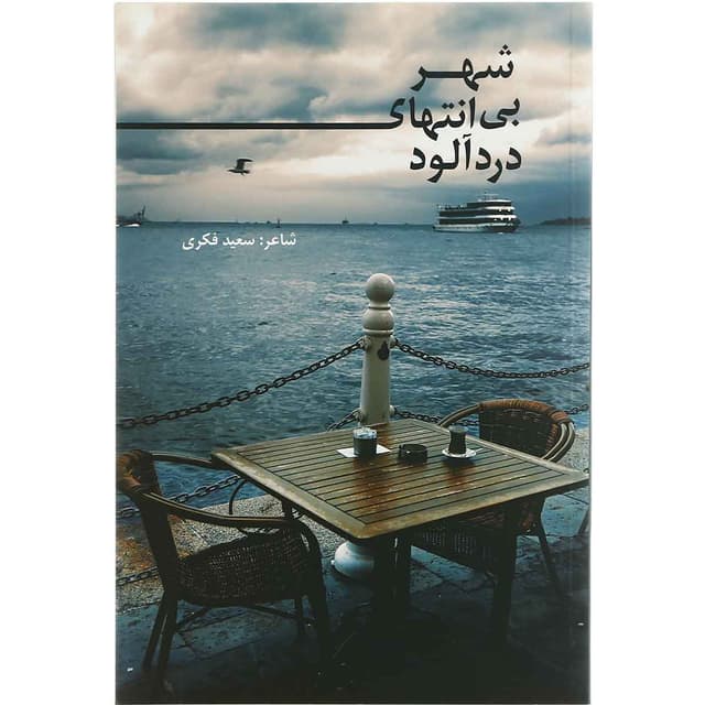 کتاب شهر بی انتهای دردآلود product image