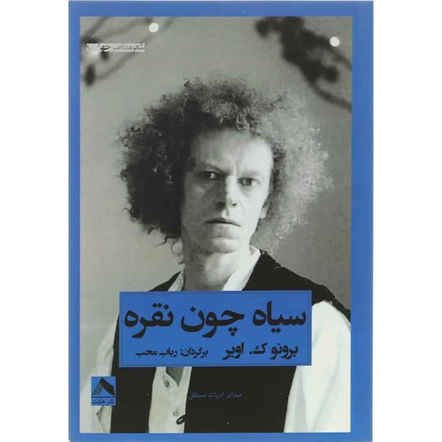 کتاب سیاه چون نقره product image
