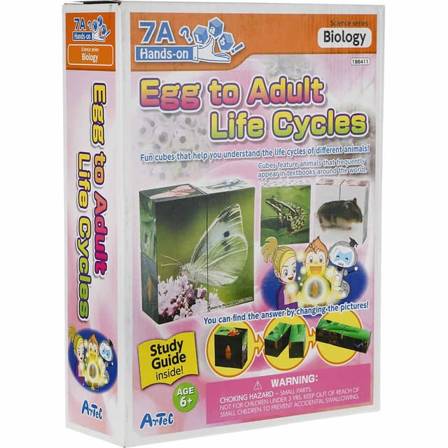 بسته آموزشی آرتک مدل چرخه زندگی کد 196411 سری آزمایشگاه من product image