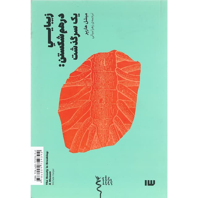کتاب زیبایی درهم شکستن یک سرگذشت product image