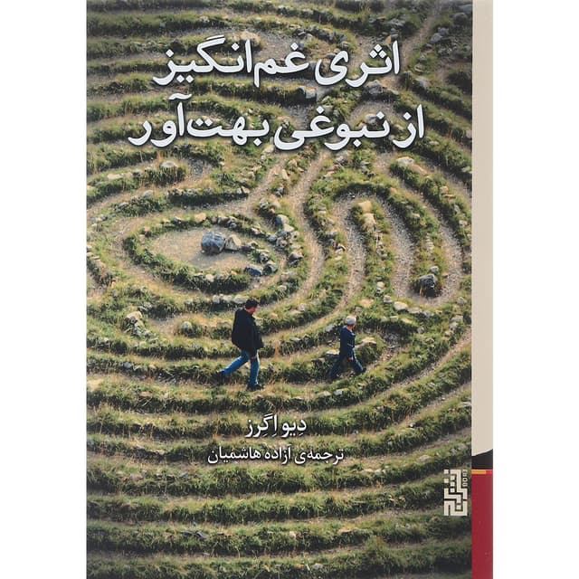 کتاب اثری غم انگیز از نبوغی بهت آور product image