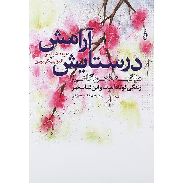 کتاب در ستایش آرامش product image