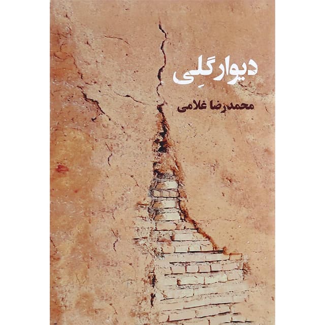 کتاب دیوار گلی product image