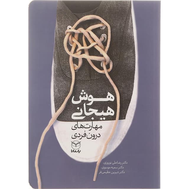 کتاب مهارت های درون فردی مجموعه هوش هیجانی product image