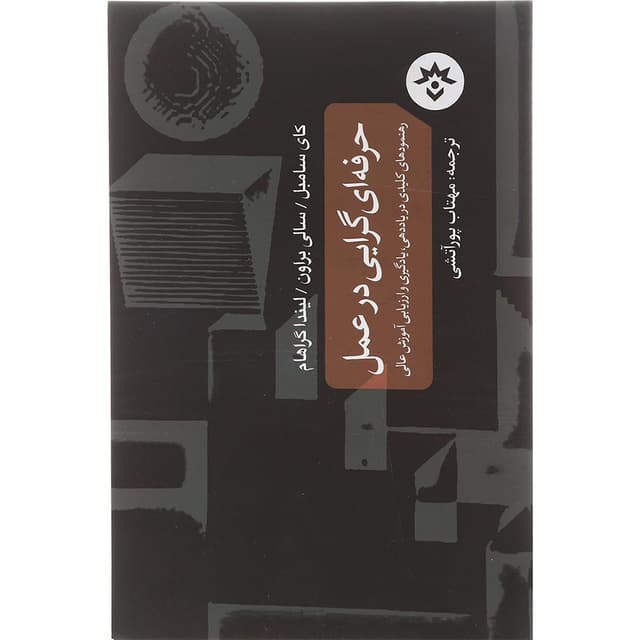 کتاب حرفه ای گرایی در عمل product image