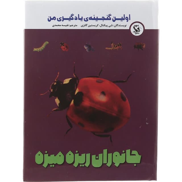 کتاب جانوران ریزه میزه مجموعه اولین گنجینه یادگیری من  product image