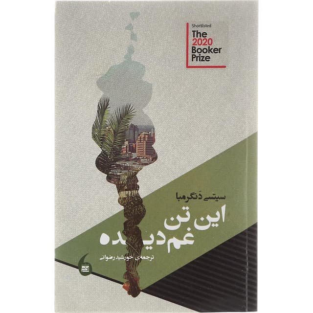 کتاب این تن غم دیده product image
