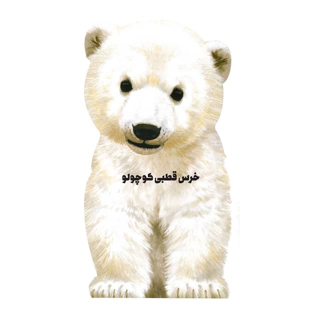 کتاب خرس قطبی کوچولو مجموعه حیوانات کوچک product image