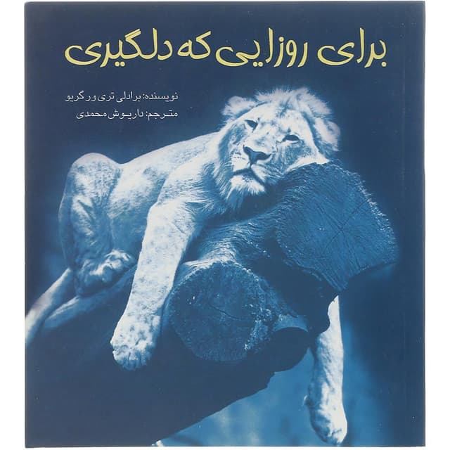 کتاب برای روزایی که دلگیری product image