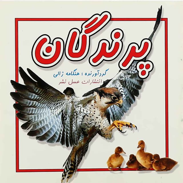 کتاب پرندگان product image