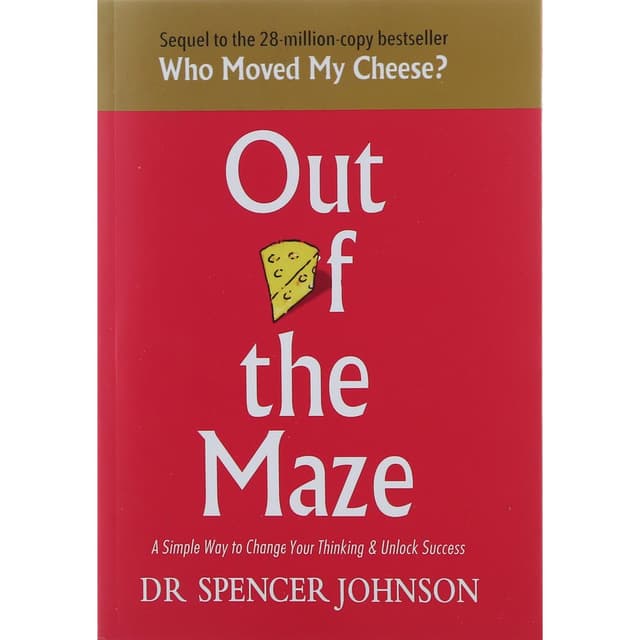 Out of The Maze product image