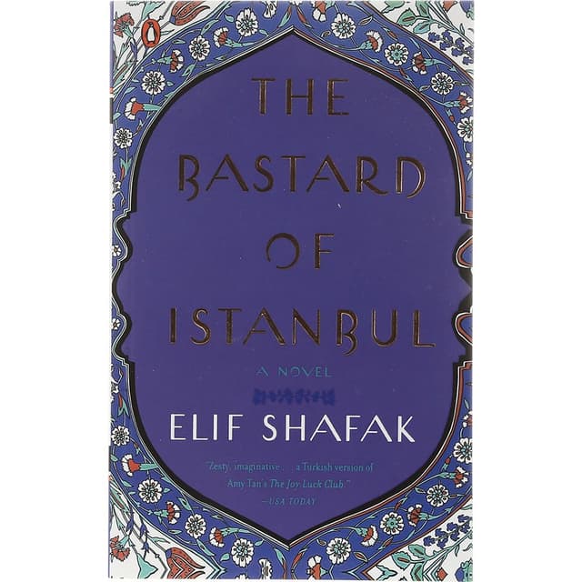 The Bastard of Istanbul product image